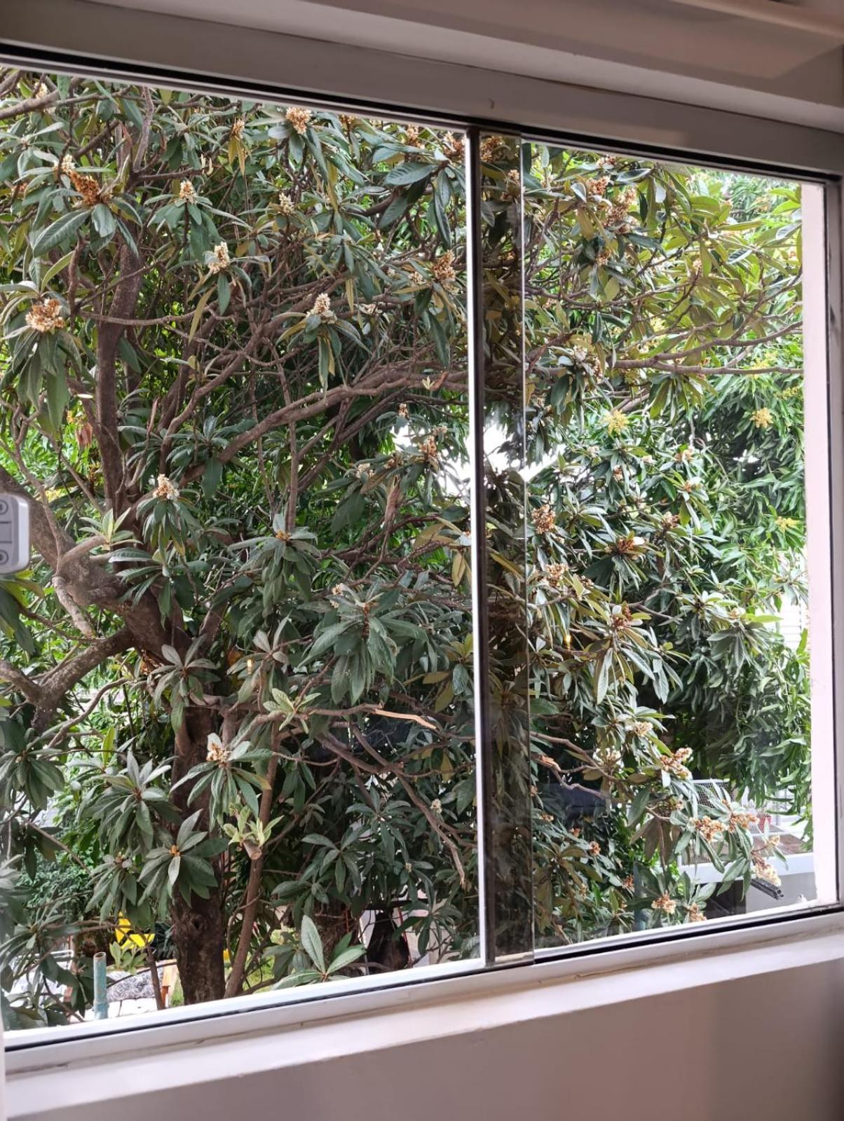 Taguato B&B Asunción Esterno foto